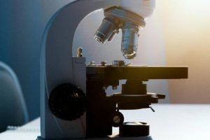 pexels-artempodrez-5726698