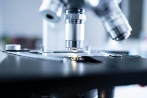 pexels-chokniti-khongchum-1197604-2280547