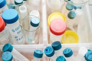 pexels-polina-tankilevitch-3735701